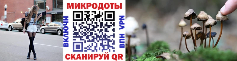 купить наркотики цена  Тимашёвск  Галлюциногенные грибы Cubensis 